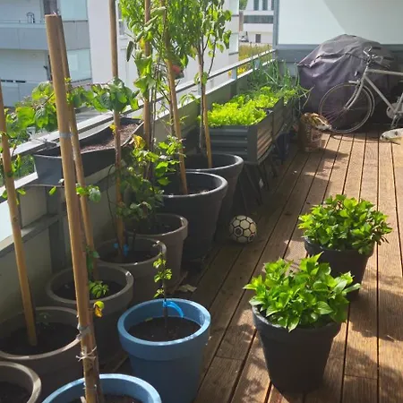 Modern Bright In An Amazing Location Daire *